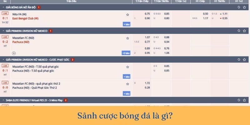 Các sảnh cược bóng đá