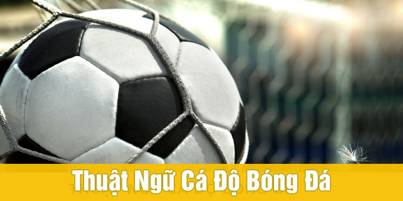 thuật ngữ cá độ bóng đá