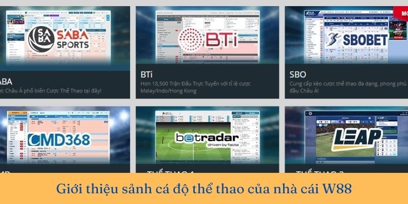 Sảnh thể thao W88