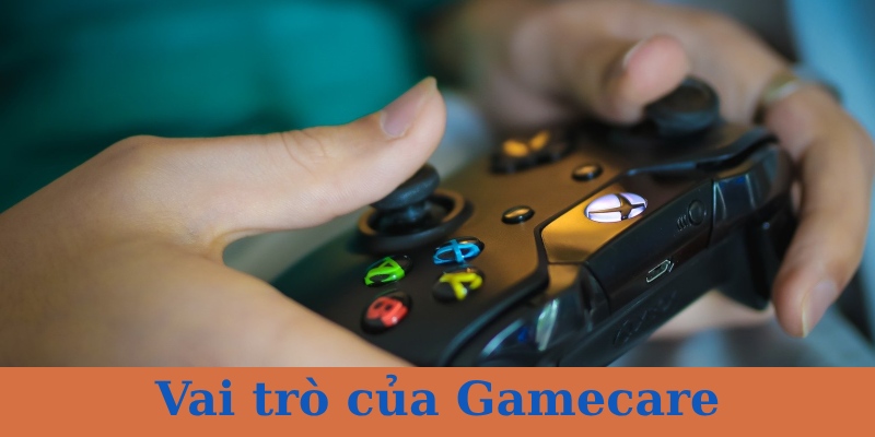 Những vai trò của Gamecare