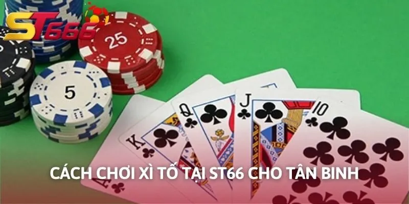 Cách chơi Xì Tố tại KUBET cho tân binh